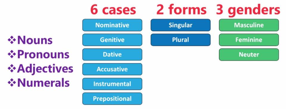 Graphique. 6 cas. 2 formes. 3 genres.